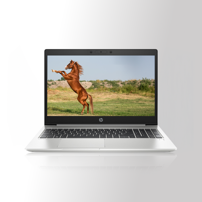 Refurbished HP ProBook 455 G7 AMD Ryzen 3 4300U with Radeon Graphics 512GB Laptop
